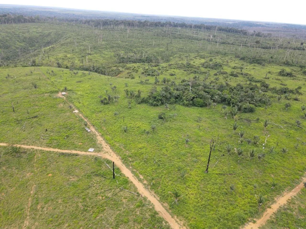 320 alqueires com 200 alqueires abertos em pasto no Apui Amazonas