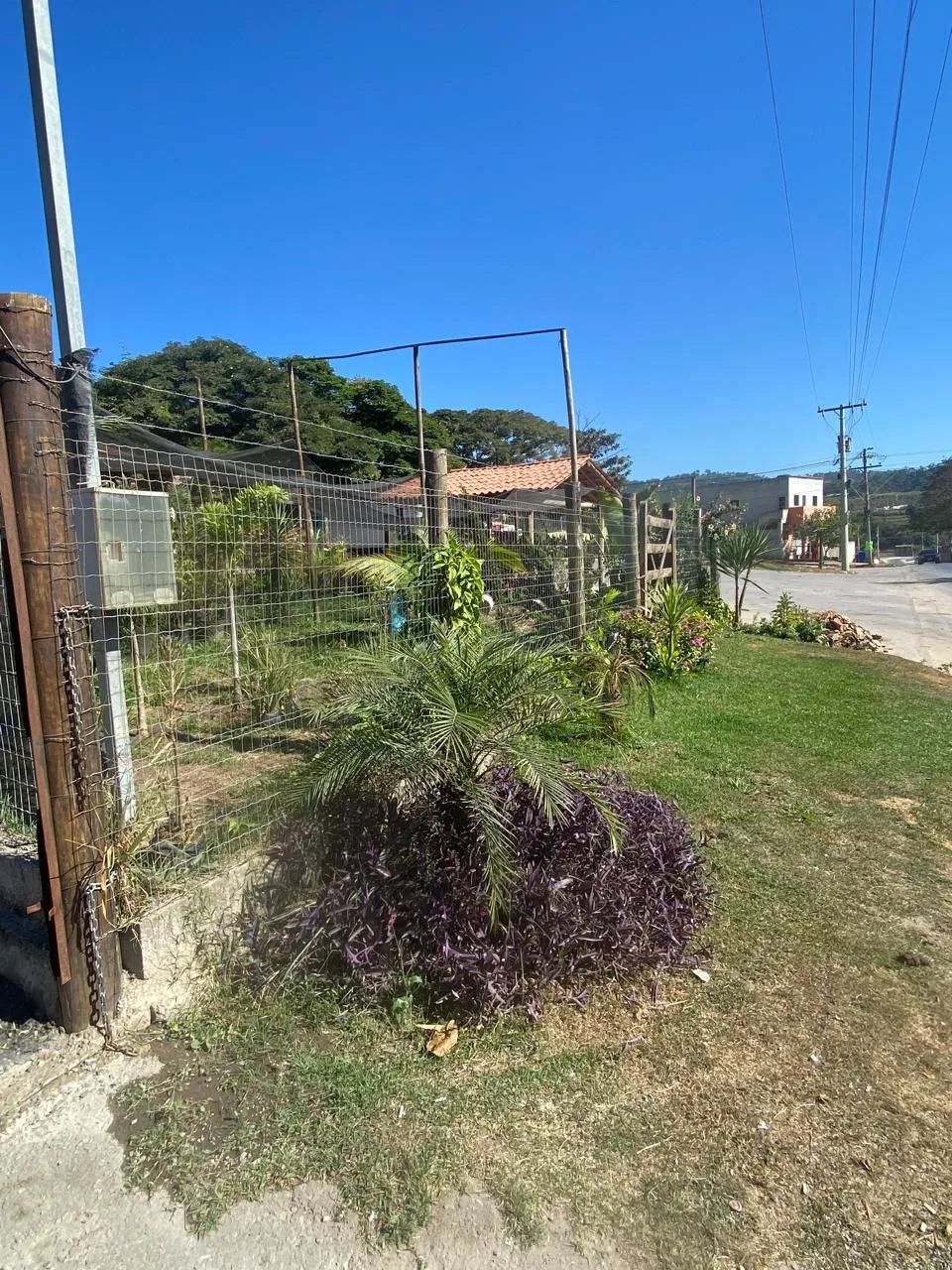 Imóvel para venda com 500 metros quadrados em Centro - São José da Lapa - MG - Foto 2