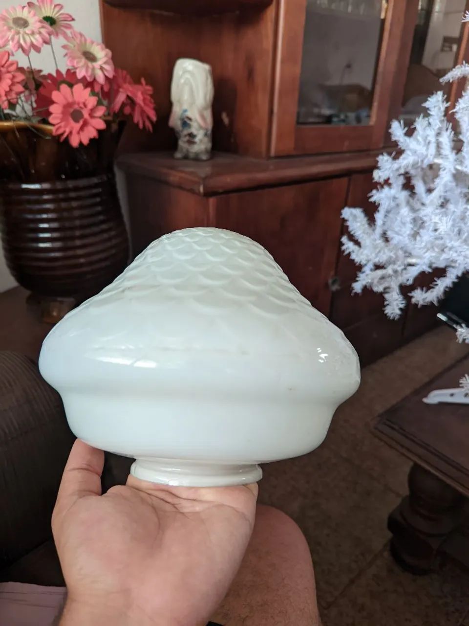 Cúpula de Vidro 23 Cm - Foto 4