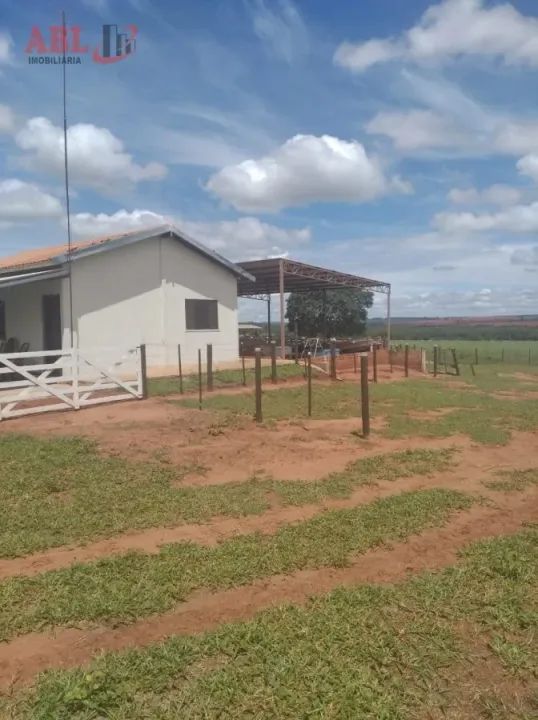 Fazenda para Venda em Centro Junqueirópolis-SP - Foto 5