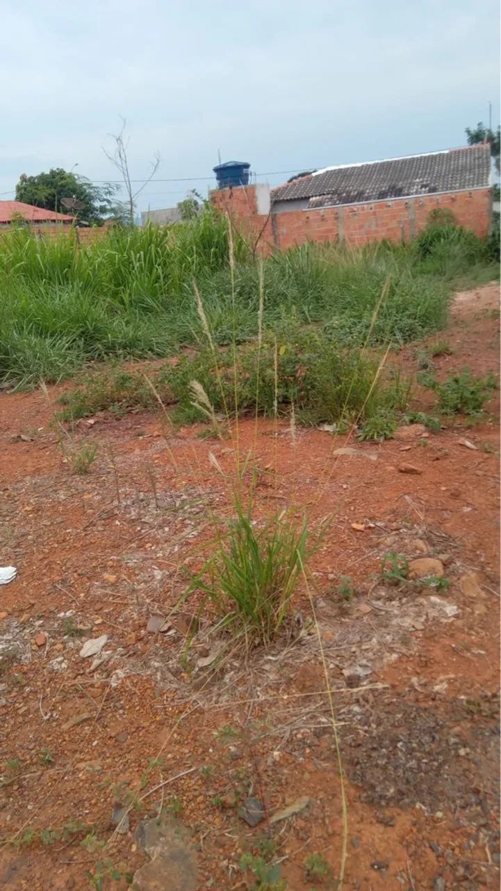 Vende-se Lote com ótima localização  - Foto 3
