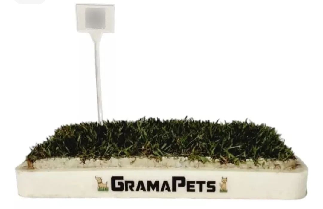 Grama natural - Tapete sanitário 43cmx 33 cm