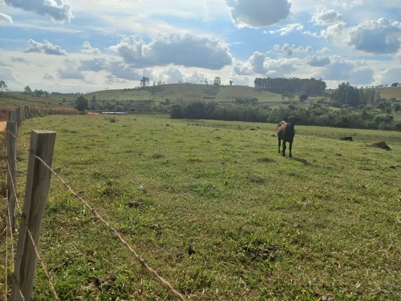 lindo sitio em Caconde sp - Foto 4