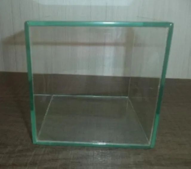 Pequeno Aquário Para Peixe Beta.