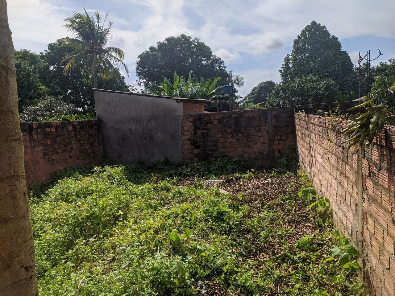 Vendo terreno com casa - Foto 5