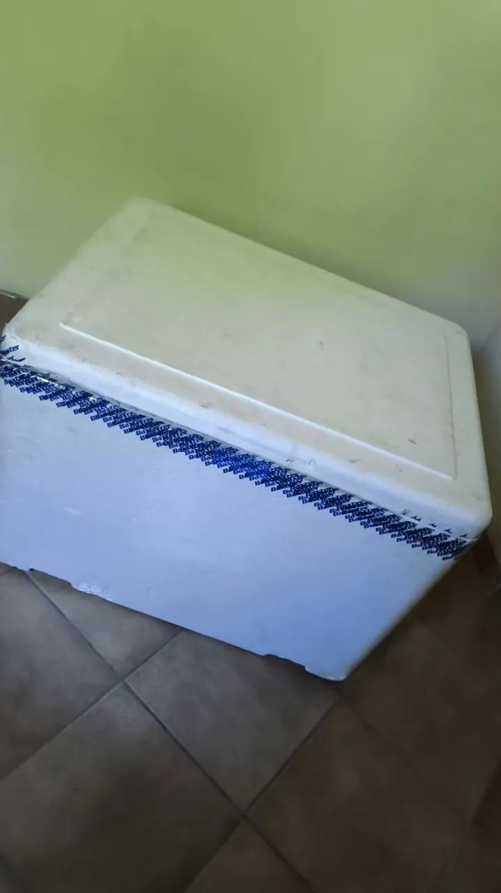 Caixa de isopor 170l - Foto 2