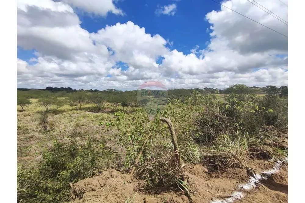 Fazenda/Sítio com 14,9 Hectares em São Joaquim do Monte PE - Foto 4