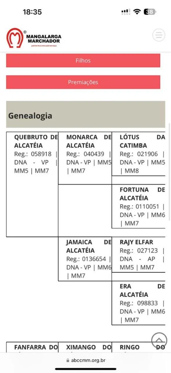Potra Mangalarga Marchador - Genealogia Completa