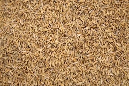 Palha de Arroz - Animais e Jardinagem - Saco 10Kg - Foto 4