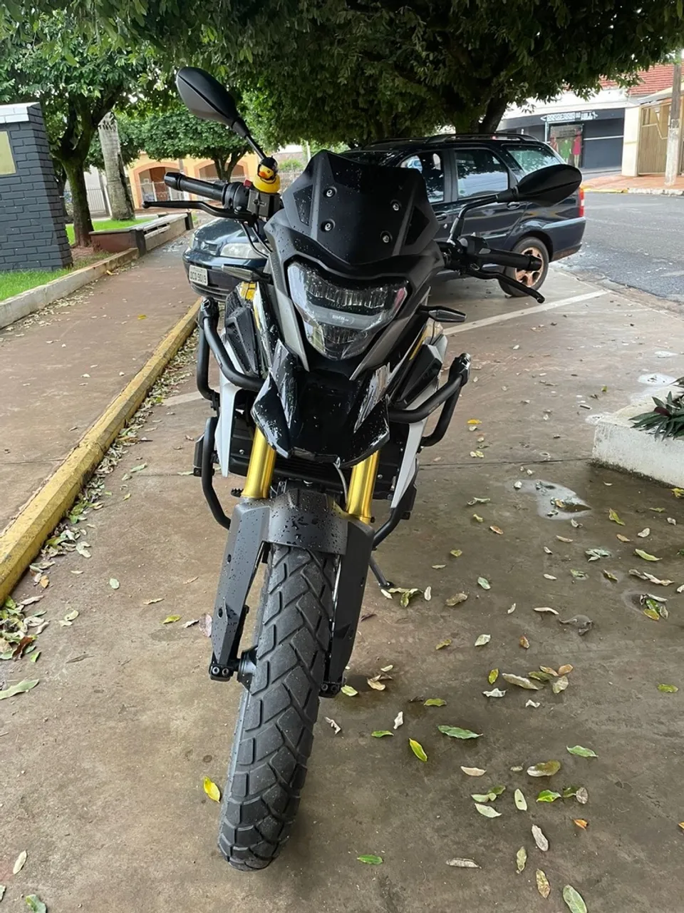 BMW GS310