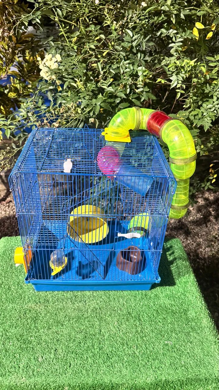 Gaiola Para Hamster/Rato 64684119243650122