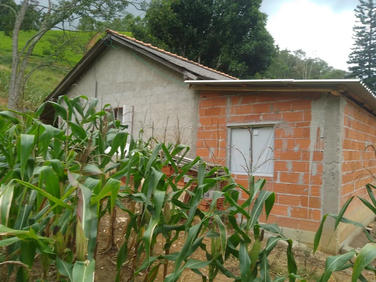 Sítio pedras azul 4 alqueires  - Foto 3