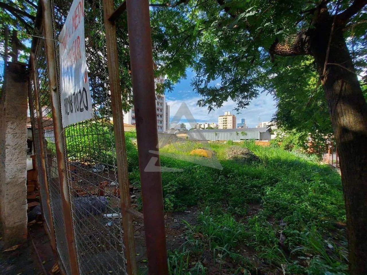 Terreno à venda em Campinas, Vila Itapura - Foto 3