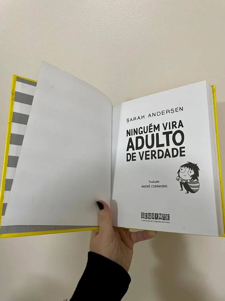 Livro ?Ninguém Vira Adulto de Verdade? de Sarah Andersen - Foto 3