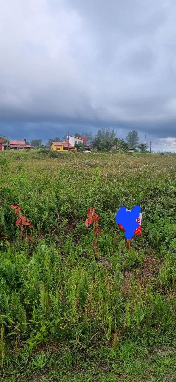 Foto - Ilha Comprida - 