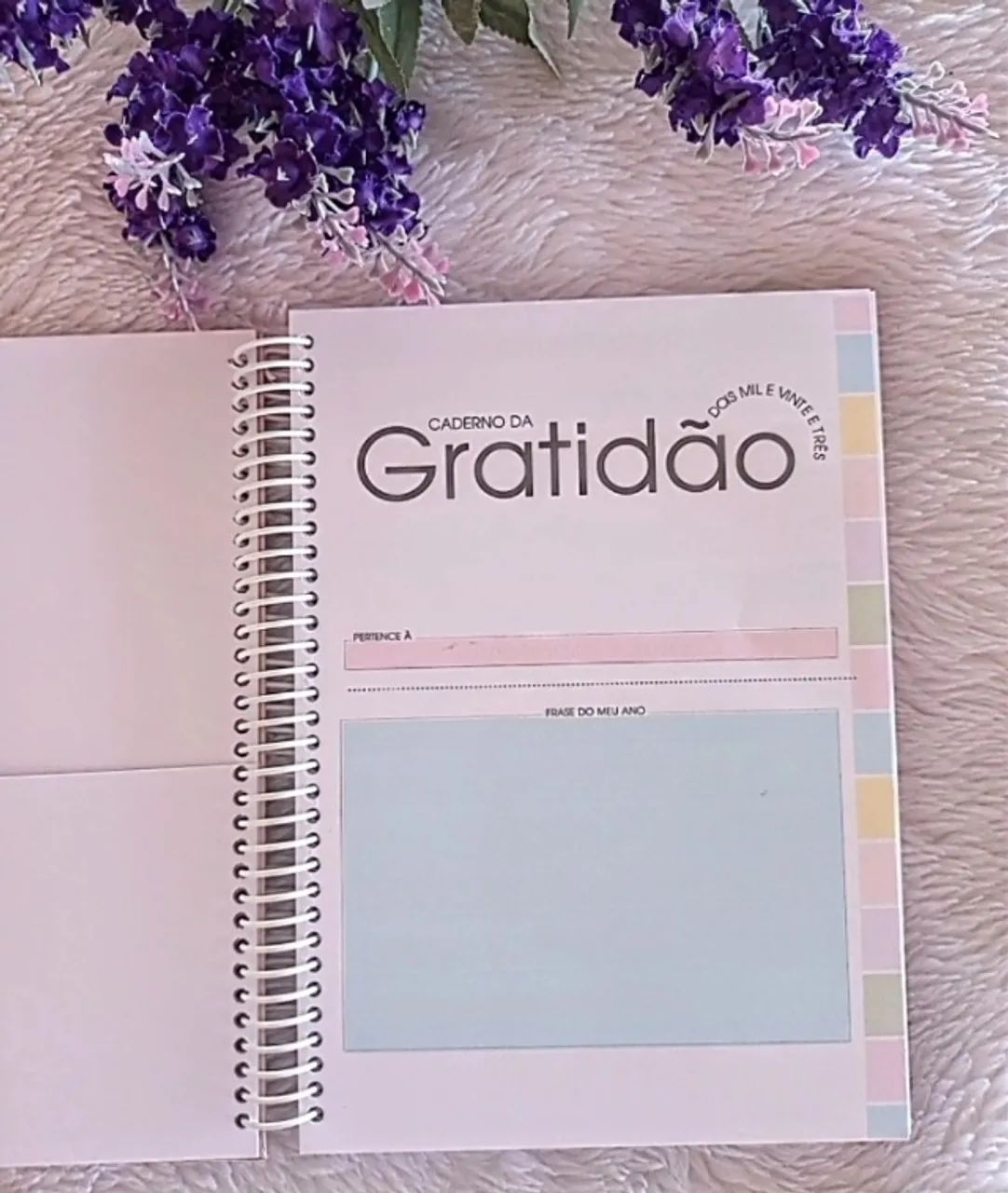 Agendas e cadernos Gratidão - Foto 2