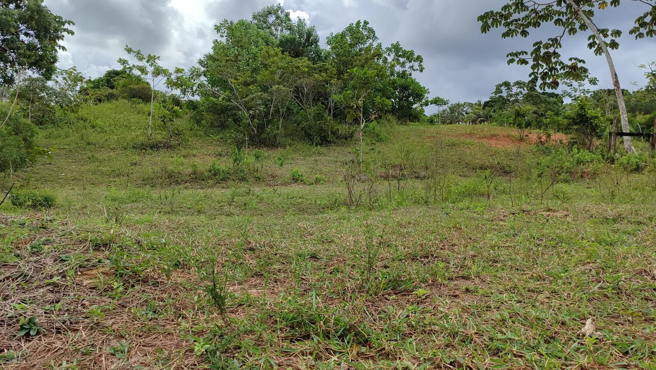 Terreno medindo 40x60 ótima pra chácara!!