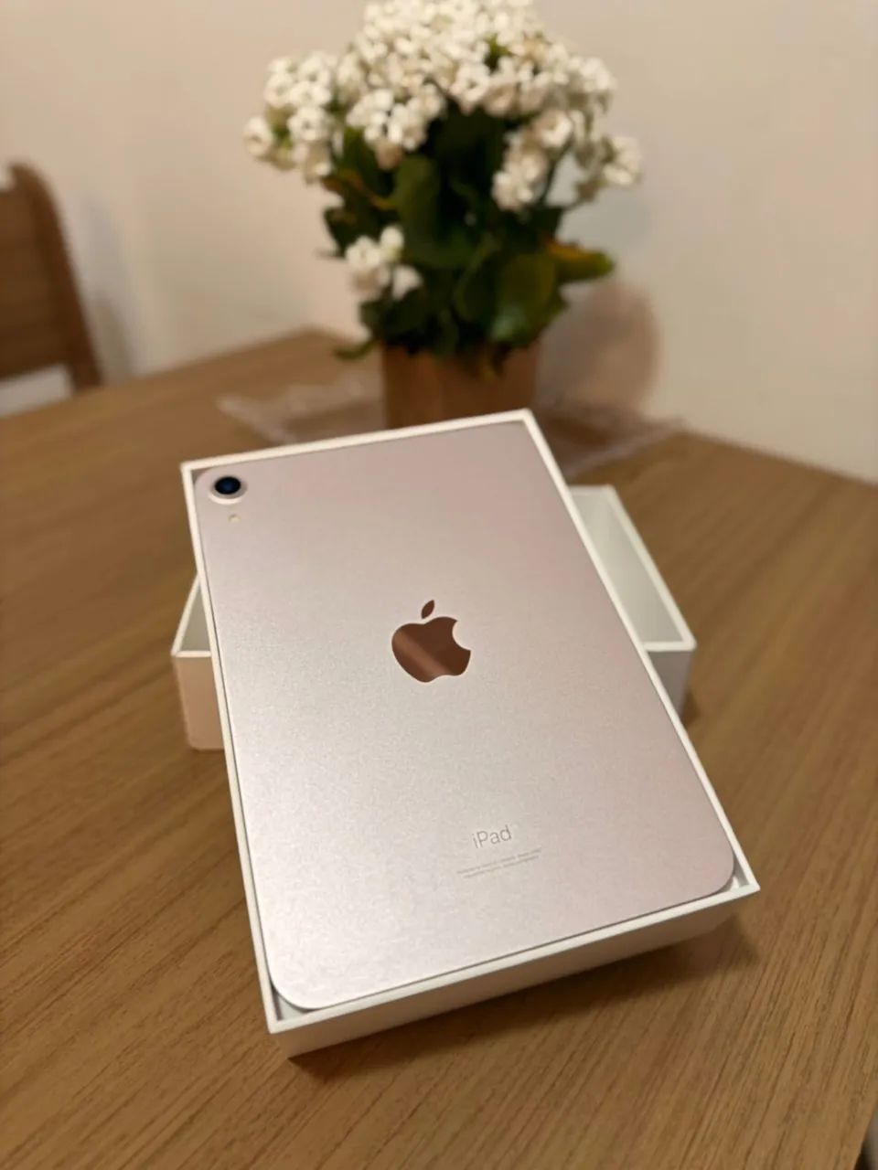 Ipad mini 6 - 64gb (Rose gold) Apple Pencil geração 2 R$3.600,00