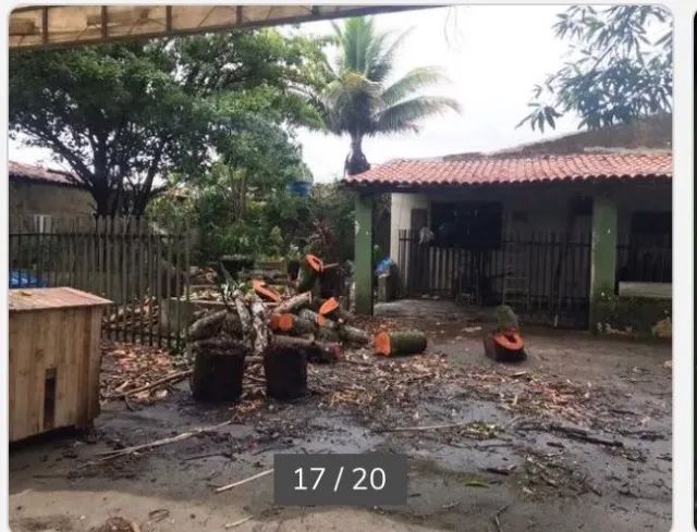 ChácaraClima Bom - Foto 5