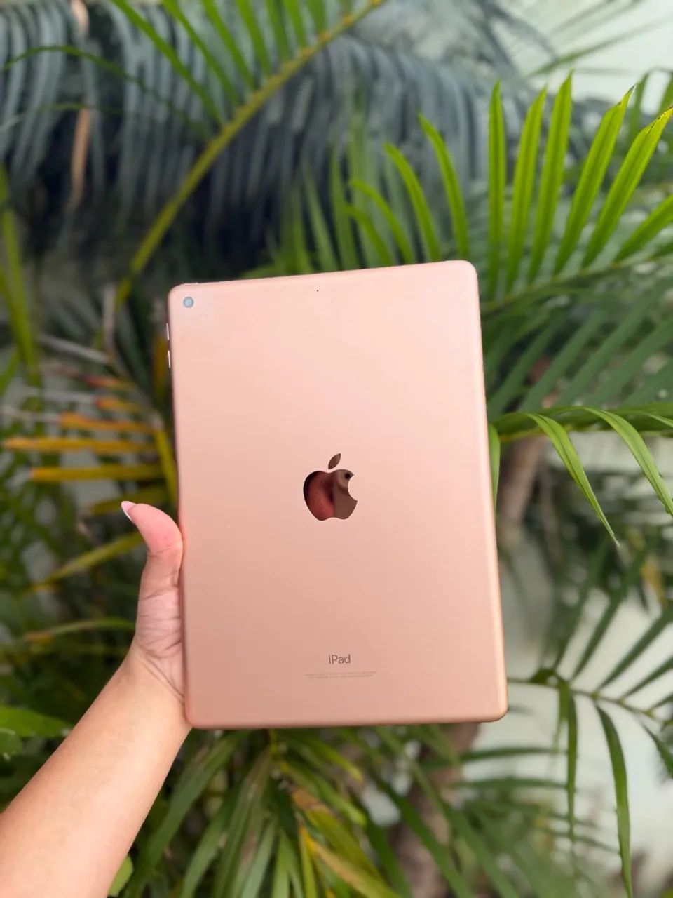 iPad & Apple Pencil
