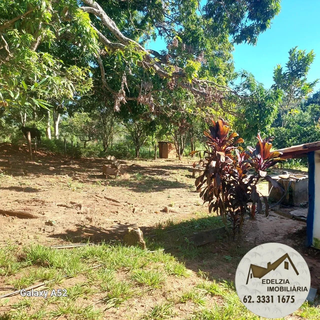 Chacara à Venda Pirenopolis - Foto 9