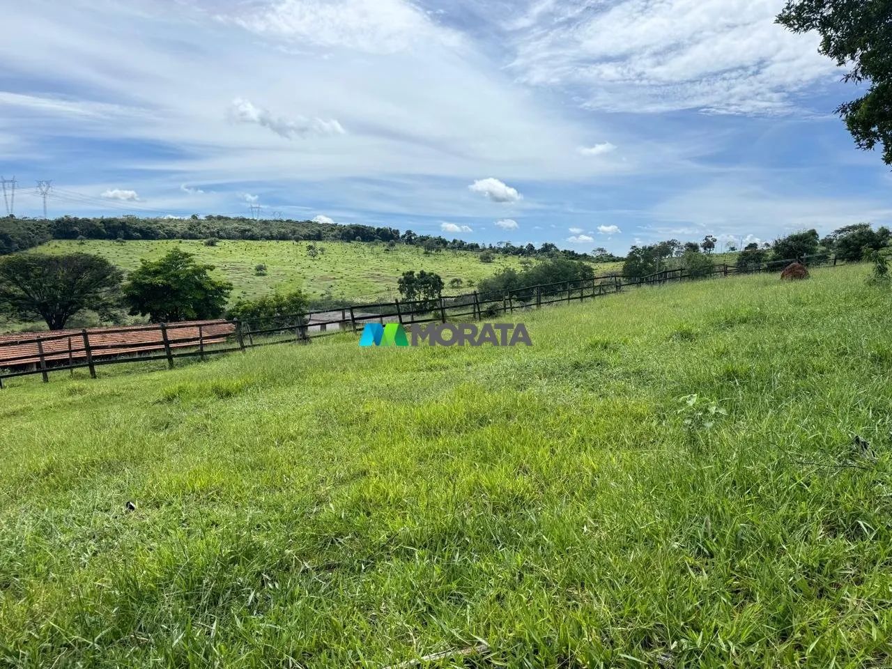 FAZENDA À VENDA - 200 HECTARES - ITAÚNA (MG) - Foto 2