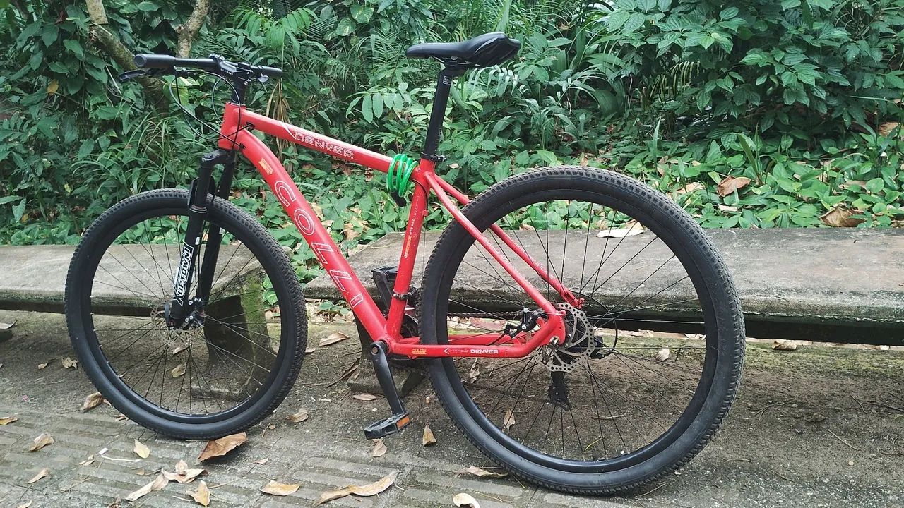 BIKE ARO 29 - Foto 5