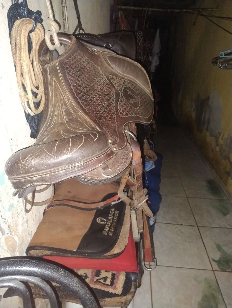 Cela australiano completa, pouco usado, no precinho 