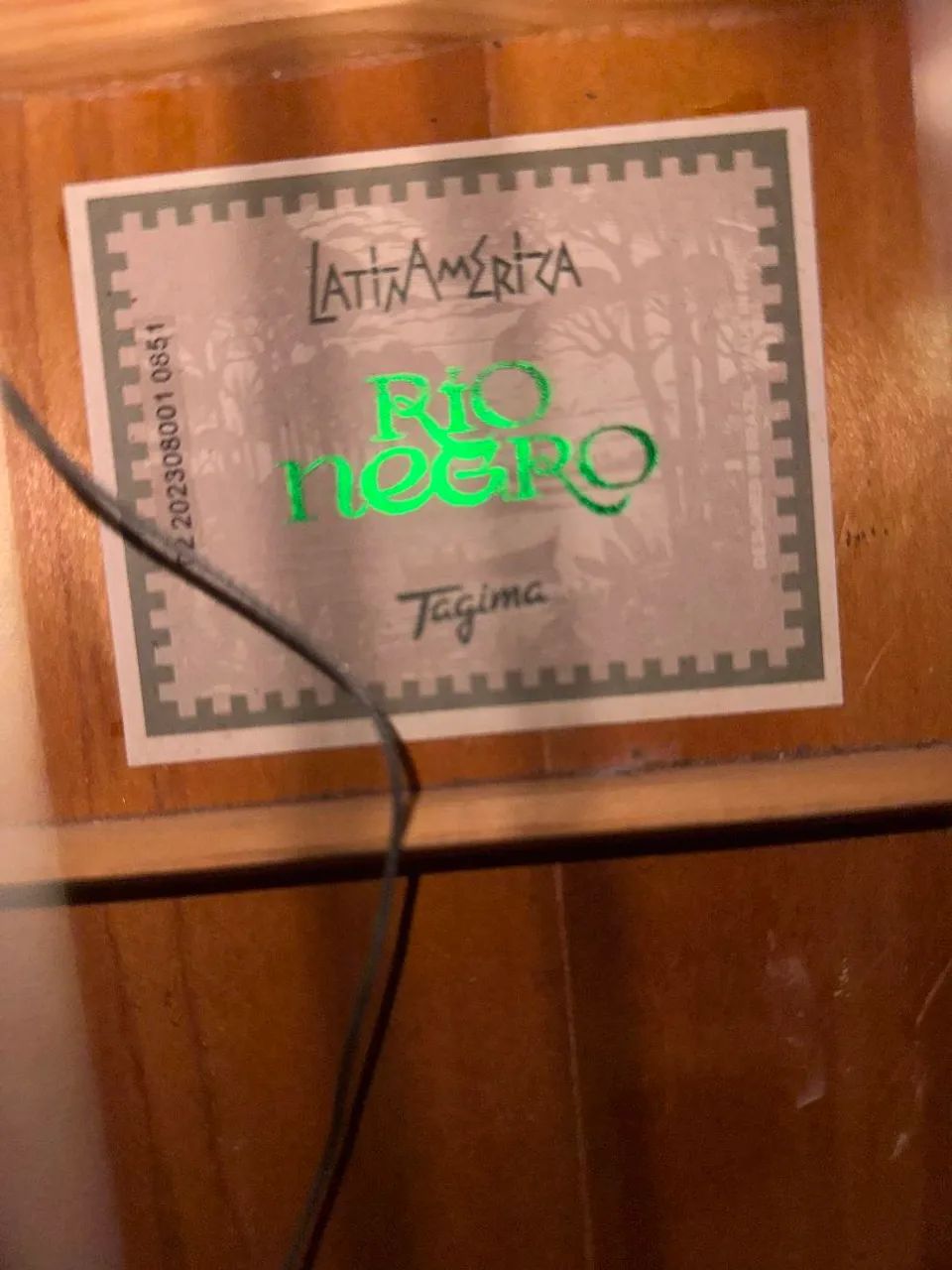 Tagima rio negro - Foto 3