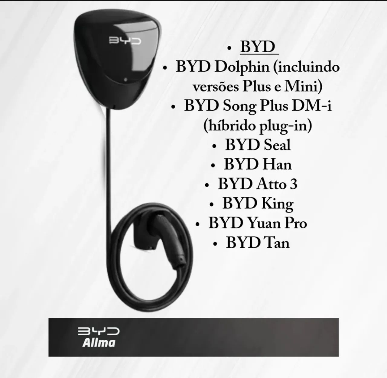 Wallbox BYD  - Foto 2