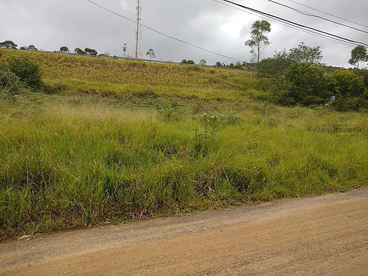 Lote / Terreno - São Pedro - Foto 4