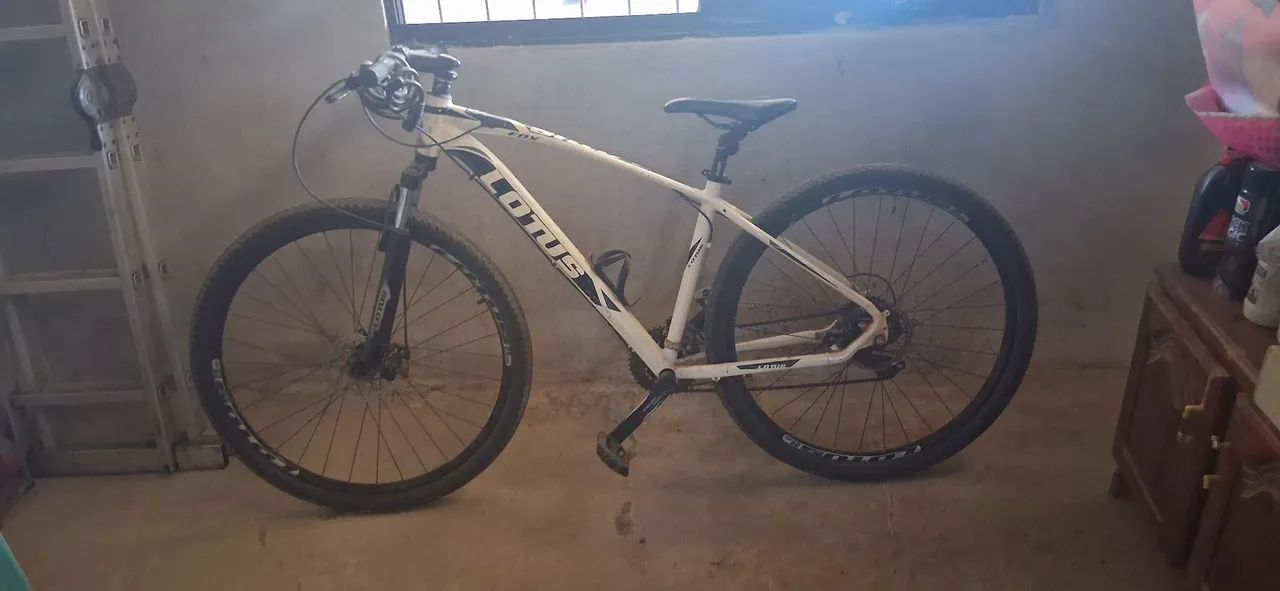 Vendo bicicleta Lotus aro 29