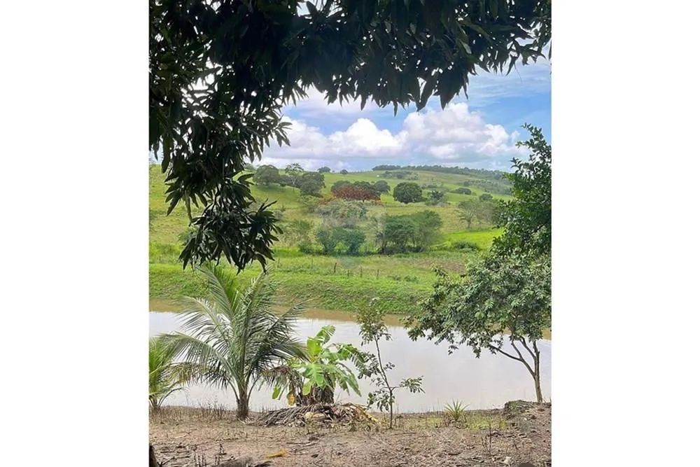 FAZENDINHA EM UNIÃO DOS PALMARES - Foto 2