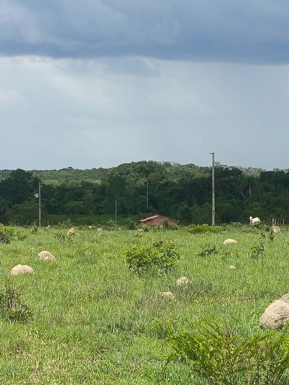 Chácara a venda em Divinópolis Tocantins 