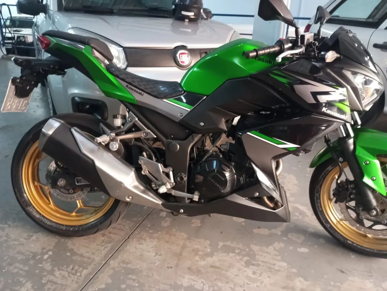 Z 300