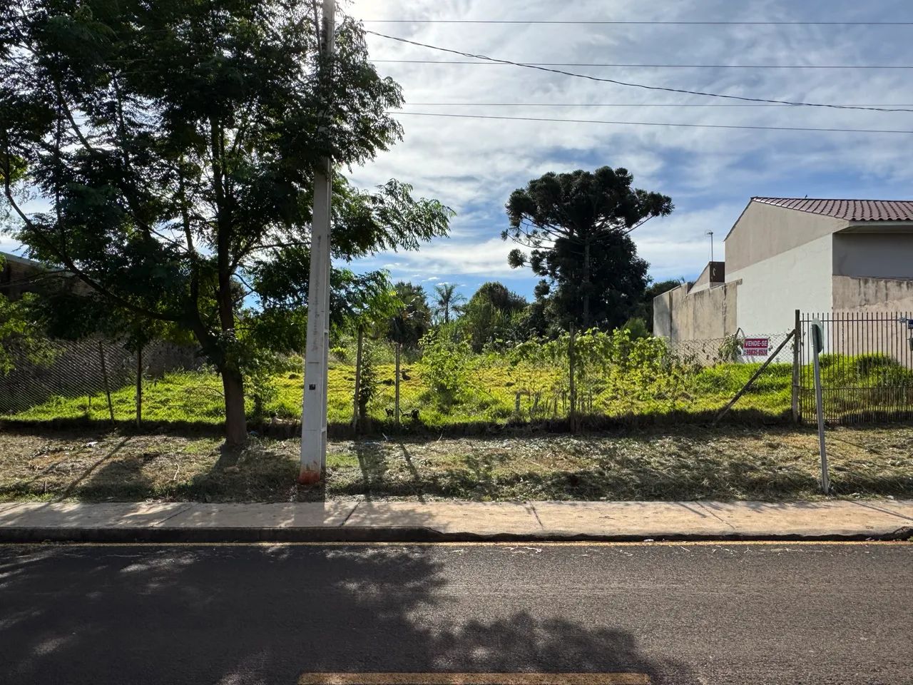 Terreno em Corbélia - Foto 5