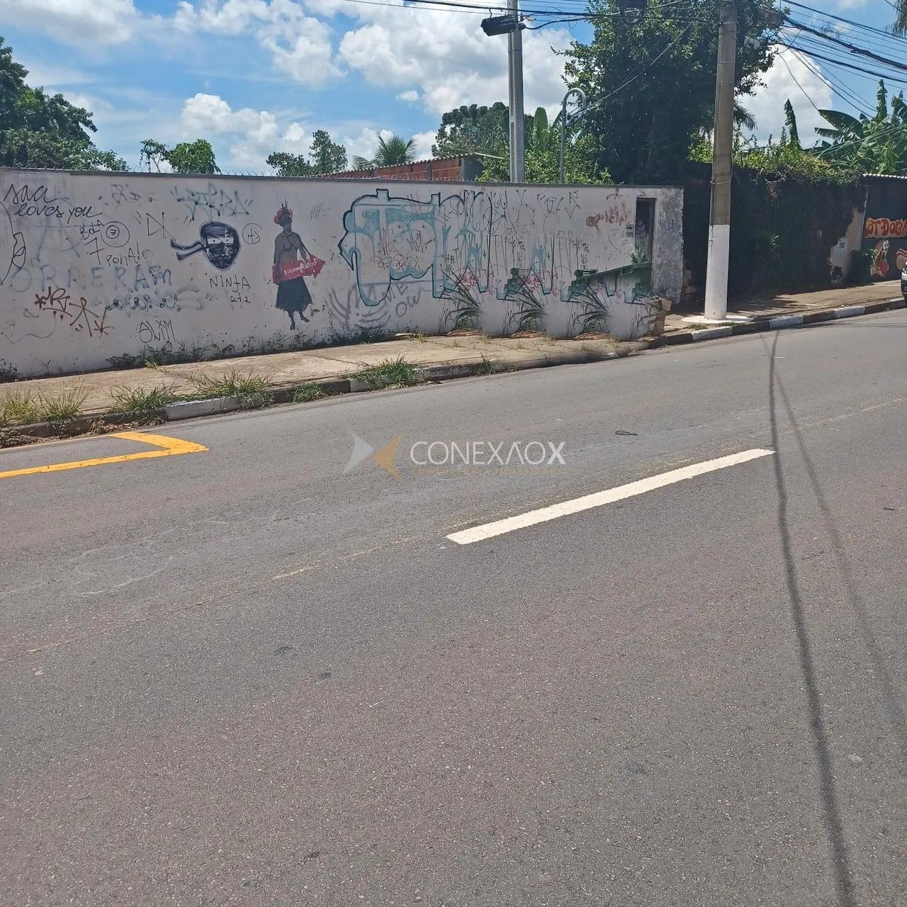 terreno - Chácara Primavera - Campinas - Foto 2