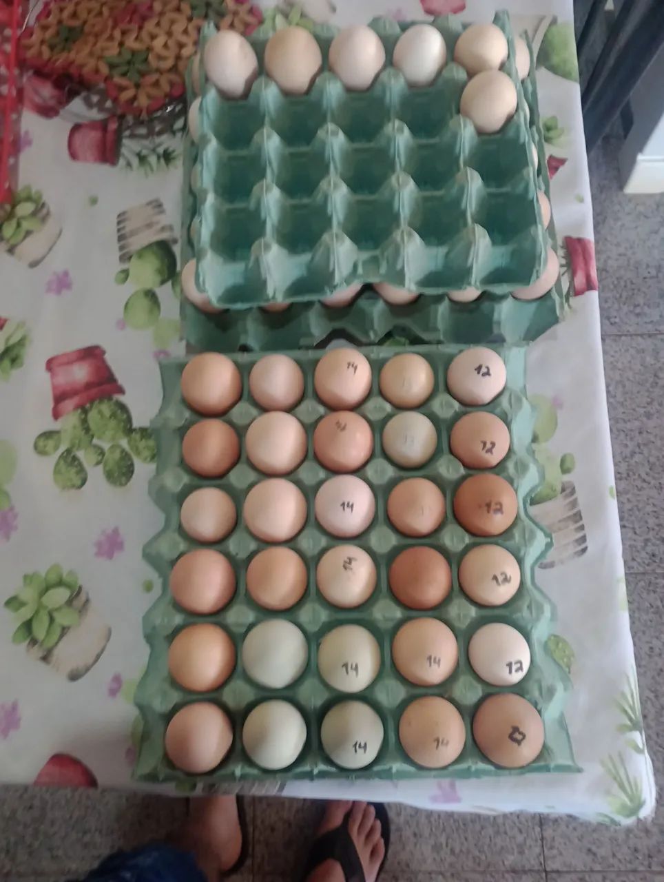Ovos galinhas caipiras 