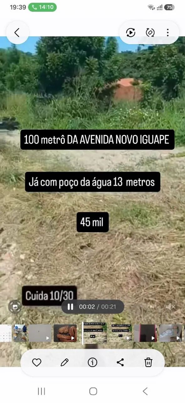 Novo iguape 