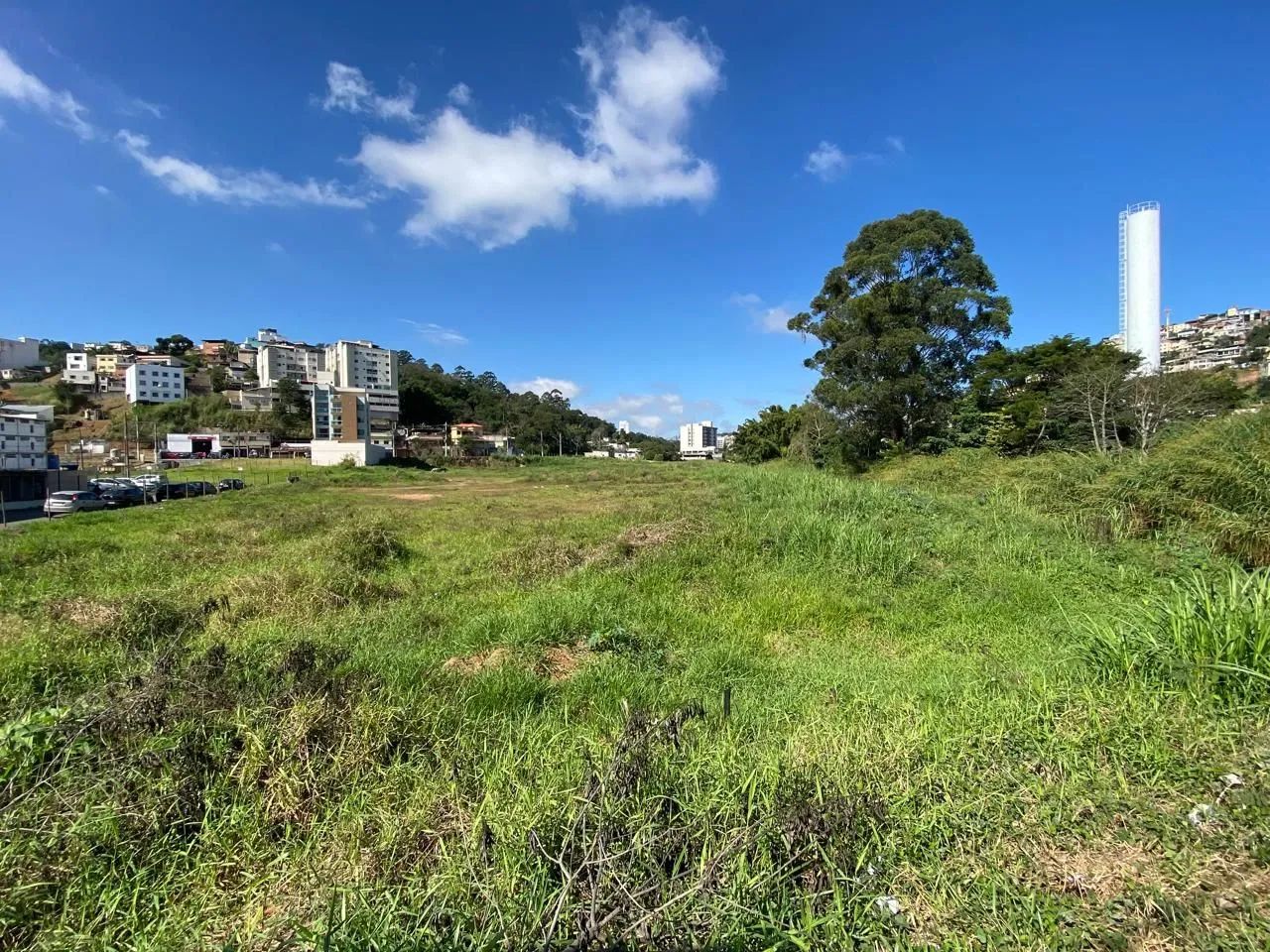 Lote / Terreno - São Pedro - Foto 4