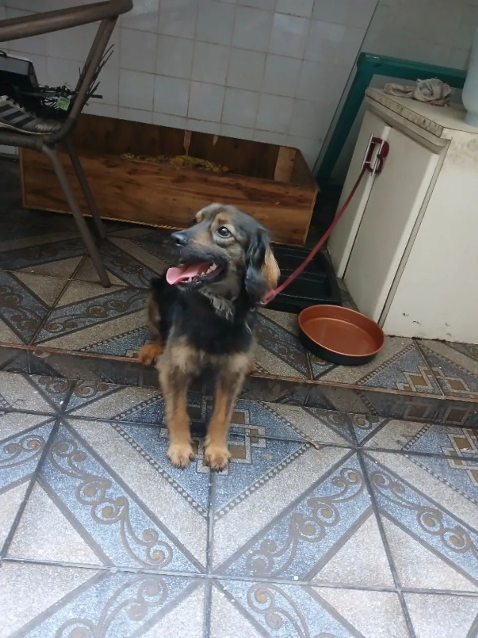 Doação  - Foto 2