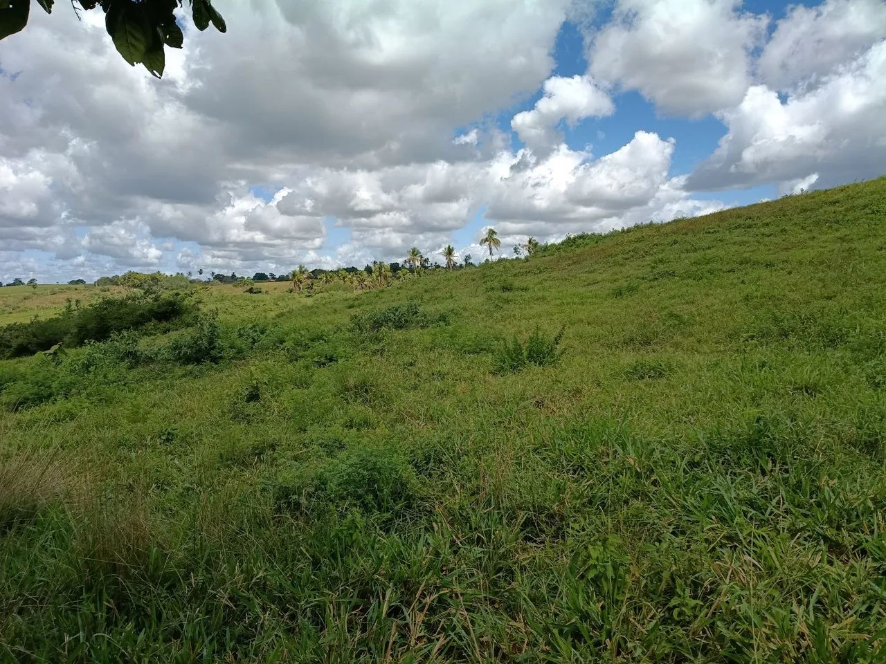 Terreno com 33 tarefas  - Foto 4