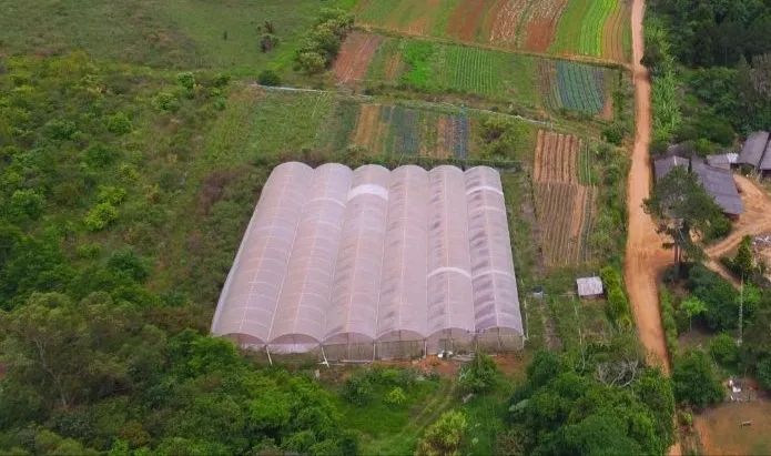 Estrutura de estufa agrícola 