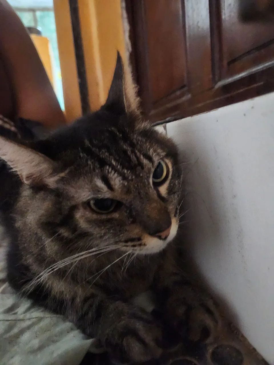 DOAÇÃO RESPONSÁVEL  - Foto 2