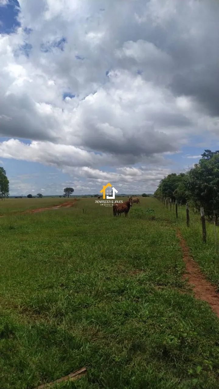 FAZENDA À VENDA  PARANAÍBA/MS - Foto 3