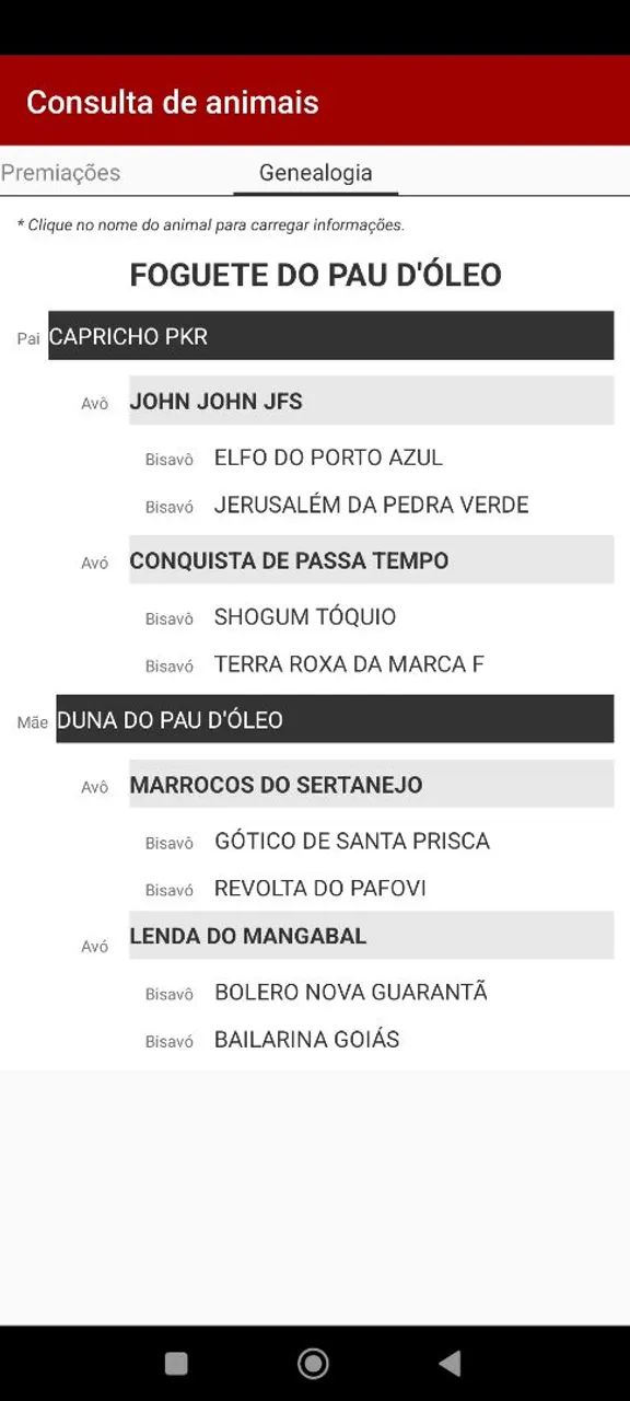 Potro Mangalarga Marchador  - Foto 4