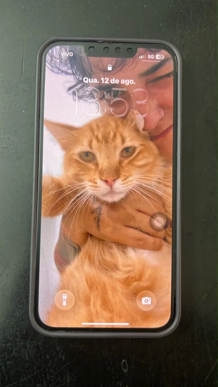 iPhone 13 Pro dourado 254g - Foto 4