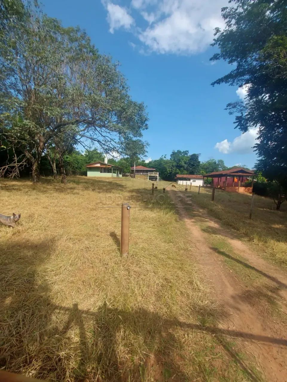 Rural Chácara em Piratininga - Foto 2