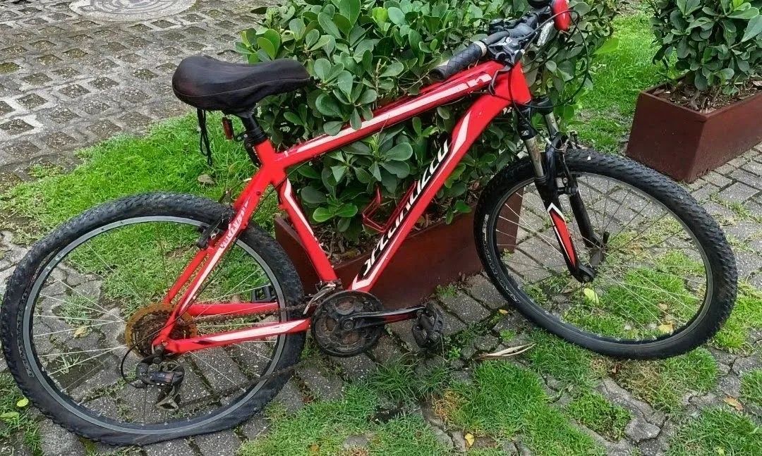 Bicicleta aro 26 Specialized MTB