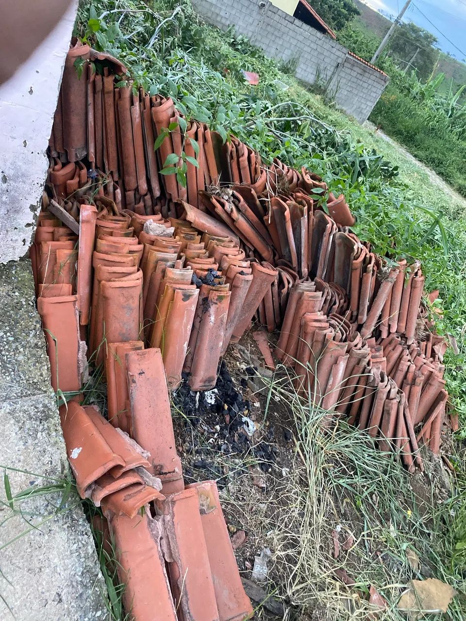 Doa?se telha - Foto 2